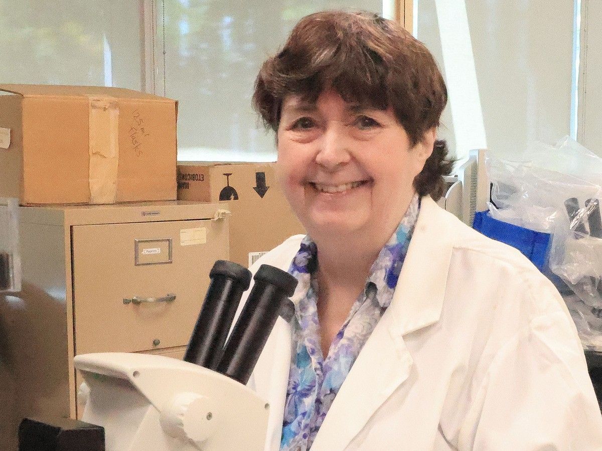 Criminology professor Gail Anderson in her lab at Simon Fraser University after being named to the Order of B.C. on Monday for her work on forensic entomology.