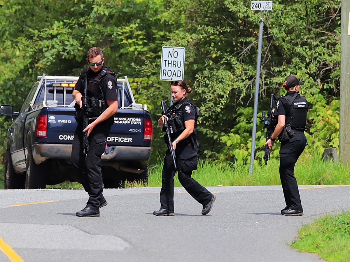 RCMP shoot bear, but it is still at large