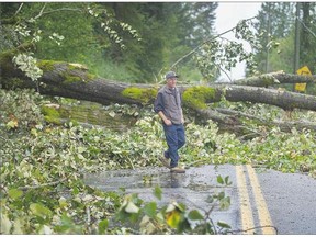 Ken Breaks walks across 0 Avenue in Surrey near his home on Monday after heavy rain and winds felled trees and powerlines over the weekend.