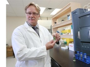 Brent Zettl, CEO of Prairie Plant Systems Inc. and CanniMed Ltd (Michelle Berg / The StarPhoenix)