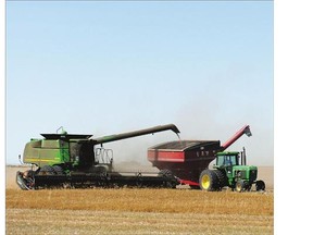 Brett and Brice Marshall combine a lentil crop south of Regina on Aug. 10. While harvested crops are reported to be good quality they are also 'short and very thin,' says Shannon Friesen of Saskatchewan Agriculture's Moose Jaw region