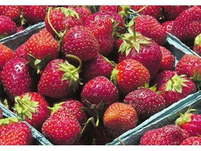 Check a local nursery before choosing which variety of strawberry to grow.