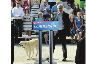 Conservative Leader Stephen Harper arrives to make a speech with farm dog Zoey at a campaign stop at a farm in Pense, Sask. on Thursday.