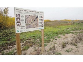 Discussion on an ambitious plan for the Northeast Swale in Silverwood begins Monday.