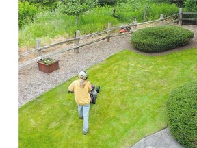 A downsized lawn with low-maintenance, moisture-saving, weed-smothering mulch. That means less grass to mow, less watering and fertilizer use.