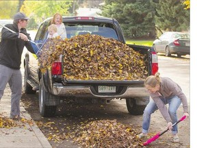 Ella Bartsch, 1, and sister Kaitlyn Bartsch, 3, help mom and dad Nathan and Krista Bartsch clean up the leaves on Grosvenor Avenue on Monday.