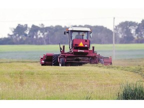 A farmer cuts a hay field northeast of Regina near Balgonie.