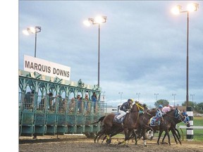The horses leave the gates in the fourth race of horse racing at Marquis Downs on Saturday.