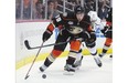 Matt Beleskey of the Anaheim Ducks, who scored 22 goals and had 32 points with the Ducks this season, could be one of the top prizes on the free agent market.