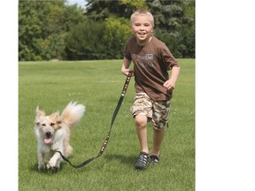 Michael Best, 8, runs through Diefenbaker Park with his three-year-old Corgi Sheltie mix, Aura, his best friend and partner in the upcoming Junior Handlers Showcase at Pets in the Park.