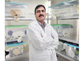 Mustafa Cheema, owner of GrowLiv in Leamington, Ontario, mass produces insects to control other harmful insects.