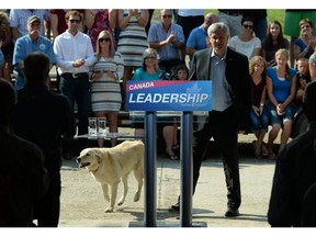 Conservative Leader Stephen Harper arrives to make a speech with farm dog Zoey as he makes a campaign stop at a farm in Pense, Sask., on Thursday, August 13, 2015. THE CANADIAN PRESS/Sean Kilpatrick