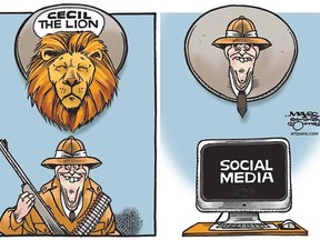 Bringing out the worst of hashtag activism, keyboard lynch mobs and a surfeit of social justice warriors in the media, enough please of Cecil the lion.