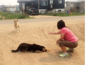 La Loche mayor Georgina Jolibois feeds dogs in La Loche. Most people have fled the community due to nearby forest fires and heavy smoke.