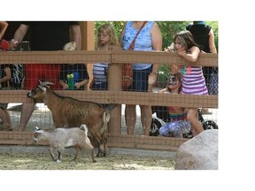 File Photo. Animals and people alike enjoyed the sunny weather as the Kinsmen Club sponsered a free day at the Forestry Farm Zoo on Friday, June 26, 2015.