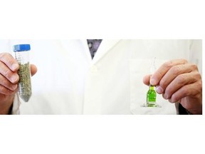 Brent Zettl, CEO of Prairie Plant Systems Inc. and CanniMed Ltd., with a vial of bright green marijuana extract ready for testing in the lab at Prairie Plant Systems Inc., March 26, 2014.