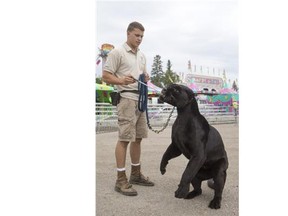 Head trainer Dirk Hackenberger demonstrates some of the tricks that Baghera, a black jaguar, can do at the Saskatoon Ex.