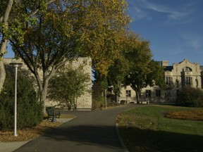 Saskatoon police investigated after a female student was assaulted on the University of Saskatchewan campus on Sept. 21, 2015