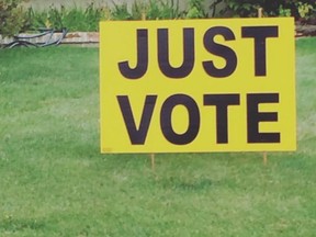 While signs supporting various local candidates are popping up across Saskatoon, this homeowner on Wilson Crescent simply wants citizens to vote