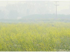 A thick layer of smoke from forest fires in the northern part of the province blanket rural areas east of Regina on Monday.