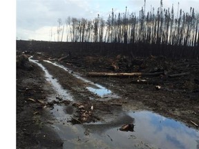 Northern Saskatchewan forest fire aftermath near La Ronge taken Friday July 17, 2015. photo by Jason Warick