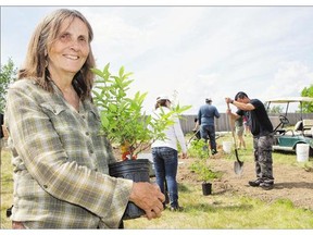 Permablitzes 'are hard work, but they're also a lot of fun,' says Joanne Blythe, one of the founding members of PermaSask, shown at a Permablitz event on June 6.