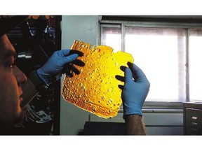 A professional extractor examines a sheet of THC concentrate known as "shatter," after removing it from the oven, at Mahatma Concentrates, in Denver in 2014.