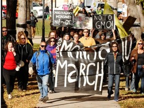 Protestors March Against Monsanto in Victoria Park in Regina, Sask. on Saturday Oct. 12, 2013.