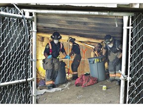Saskatoon re ghters were called to clear out a squatters nest under the west side of the Traf c Bridge.