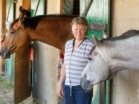 Saskatoon’s Joan Phipps grew up around Marquis Downs and became a female jockey trailblazer. She posed at Marquis Downs, Thursday, August 13, 2015. (Greg Pender/The StarPhoenix)