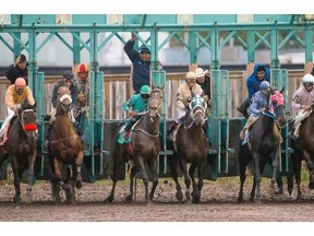 Horses leave the gate in the third race of horse racing at Marquis Downs on Saturday, Aug, 15. Despite a rainy final Saturday, Marquis Downs officials consider the season a success.