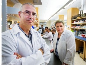 Researchers Hector Caruncho, Lisa Kalynchuk and their team are working on a blood test that will help determine whether patients with depression could be more receptive to one type of medicine over another.