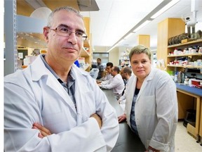 SASKATOON, SASK.; JULY 8, 2015 - Researchers Lisa Kalynchuk and Hector Caruncho with their team working with depression research, July 8, 2015. Nikita Nogoritsyn, Justin Botterill, Kyle Brymer and Katherine Lebedera form the rest of the team. (GordWaldner/TheStarPhoenix)