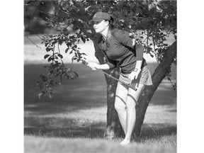 Kim Walker makes a challenging chip shot from under a tree during play at The Women's Open Golf Championships at Holiday Park.