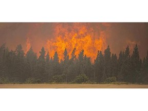 A wildfire blazes beyond a tree line in the La Ronge area.