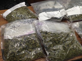 Marijuana seized in the investigation into Seamus Neary in February 2014 was entered as exhibits at his trial in Saskatoon Court of Queen's Bench in November 2015.