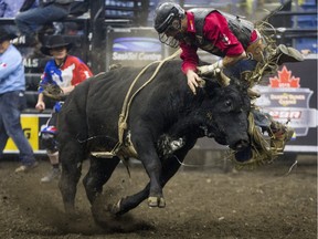 Landon Lockhart is bucked off the bull Shots Fired during the Professional Bull Riding PBR Canadian finals on Saturday in Saskatoon.
