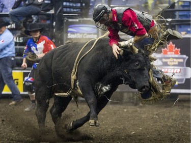 Landon Lockhart is bucked off the bull Shots Fired during the Professional Bull Riding PBR Canadian finals at SaskTel Centre in Saskatoon, November 21, 2015.