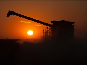 BROADVIEW, SK :  September 24, 2014  --  Larry Fleece combines into the sunset as his brother Ron runs the grain cart as they finish their last harvest on the family farm just outside of  Broadview on Wednesday.  After being raised on the farm, the pair are selling their equipment in the spring.  Broadview is approximately  150km's east of Regina.  TROY FLEECE / Regina Leader-Post ORG XMIT: POS1409261732041521