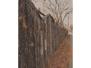 Every week we will be featuring our #yxefriday challenge where we ask our Instagram followers to share their view of Saskatoon with us. This week's theme was "Alleyways." Check out Instagram.com/thestarphoenix for our next challenge.
