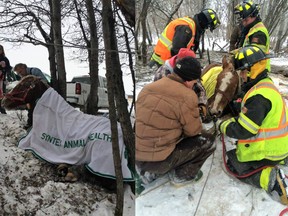 Scenes from a horse rescue, via the Prince Albert Fire Department