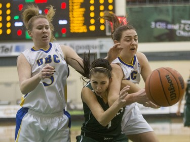 University of Saskatchewan Huskies guard Desarae Hogberg battles for the ball with University of British Columbia Thunderbirds Adrienne Parkin (R) and Diana Lee in Women's CIS Basketball action, November 21, 2015.