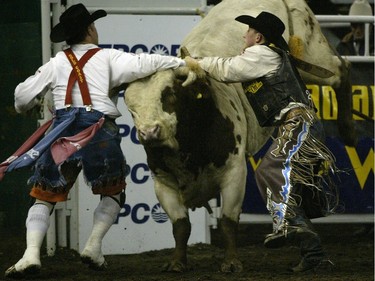 Rob Bell from Houston BC scored an 84.5 before getting hung up on the bull and rescued by the bullfighter during the Canadian Finals Rodeo in Edmonton in 2004.