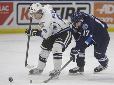 Saskatoon Blades forward Nick Zajac battles for the puck with Victoria Royals forward Jack Walker during the first period of WHL action, November 1, 2015.