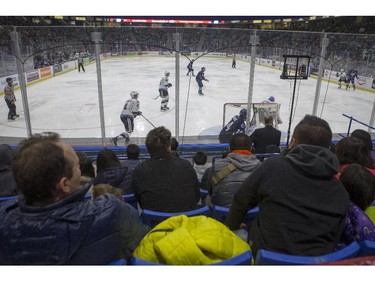 A group of Canadian newcomers watches as the Saskatoon Blades take on  the Victoria Royals during the second period of WHL action, November 1, 2015.