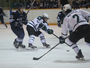 The University of Saskatchewan Huskies and the Mount Royal University Cougars compete in CIS men's hockey at Rutherford Rink in Saskatoon, November 27, 2015.