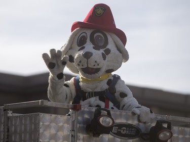 Saskatoon Firefighters mascot Sparky the Fire Dog waves as the Santa Claus parade makes its way down Second Avenue North in Saskatoon, November 15, 2015.