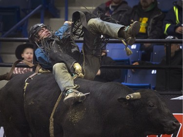 Michael Ostashek was given a rough ride getting bucked off Brave the bull at the PBR Canadian Finals Bull Riding in Saskatoon at SaskTel Centre, Friday, Nov. 20, 2015.