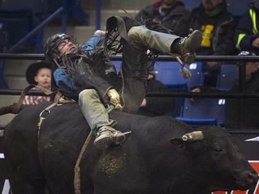 Michael Ostashek was given a rough ride getting bucked off Brave the bull at the PBR Canadian Finals Bull Riding at SaskTel Centre in Saskatoon, November 20, 2015.