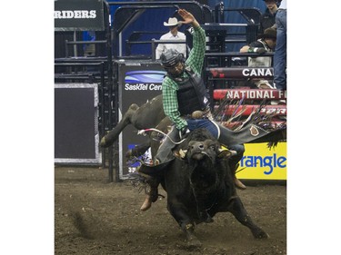 Brady Olsen stays on the bull I'm a Thug during the Professional Bull Riding PBR Canadian finals at SaskTel Centre in Saskatoon, November 21, 2015.